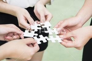 Team Work-1.png